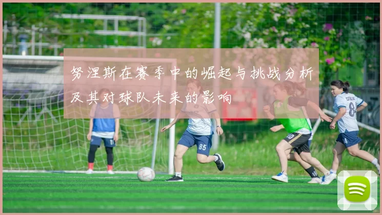 努涅斯在赛季中的崛起与挑战分析及其对球队未来的影响
